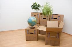 Office Movers Roswell GA